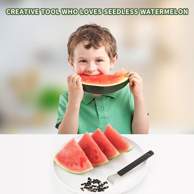 Watermelon Seed Remover Tool - Stainless Steel Watermelon Cutter and Fruit Slicer