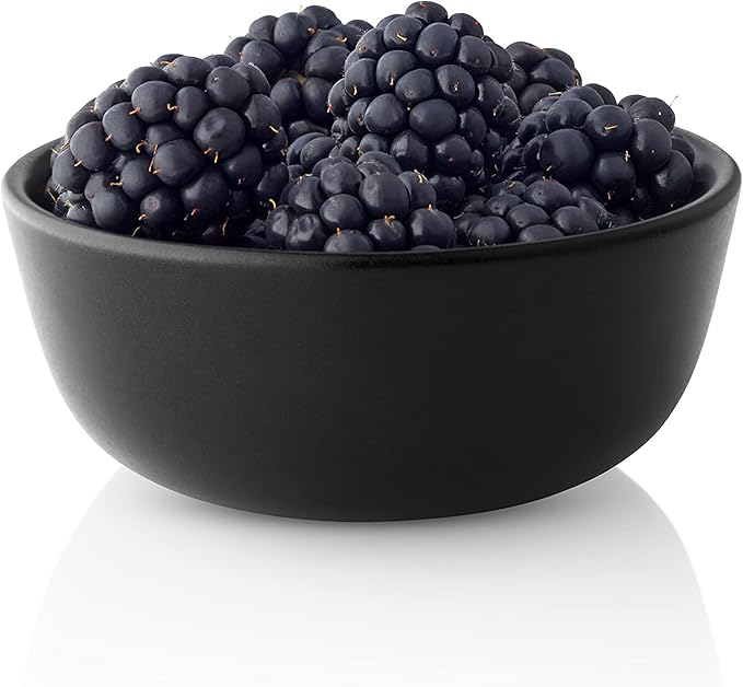 Eva Solo | Nordic Kitchen Bowl 0.15l Ø10cm | Dishwasher & Microwave Safe | Black Stoneware | Danish Design, Functionality & Quality | Set of 4 | Black