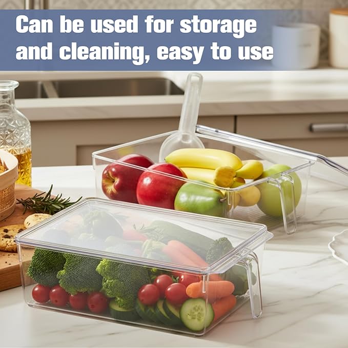 Havawish Ice Storage Bin for Freezer with Lid and Flexible Scoop Set Plastic Ice Container with Lid Handle for Home Office Fridge Storage(12.4 x 8.07 x 3.94 Inches,Clear,2 Pcs)