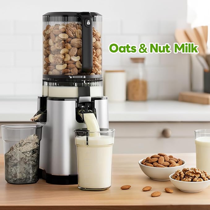 ECOSELF Juicer Machines with 3 Filters (For Juice/Sorbet/Nut Milk), With 6.0" Wide Mouth Hopper for Vegetables & Fruits, Slow Masticating Juicer Self Feeding, Juicer for Family Party, With Brush