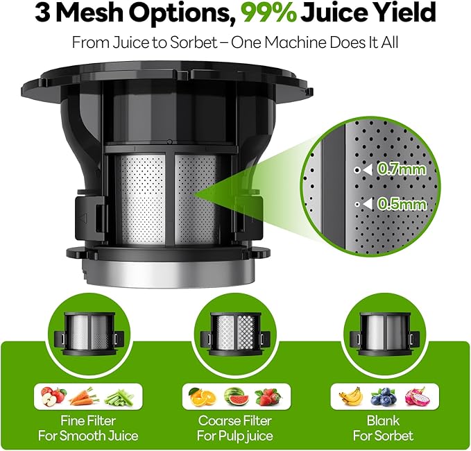 ECOSELF Juicer Machines with 3 Filters (For Juice/Sorbet/Nut Milk), With 6.0" Wide Mouth Hopper for Vegetables & Fruits, Slow Masticating Juicer Self Feeding, Juicer for Family Party, With Brush