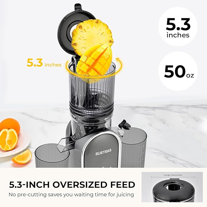 SUSTEAS Cold Press Juicer Machines, 5.3" Feed Chute(50oz Capacity), 300W Slow Masticating Juice Extractor for Whole Fruits and Vegetables, Automatic Feed, High Juice Yield,Easy to Clean, Silver gray
