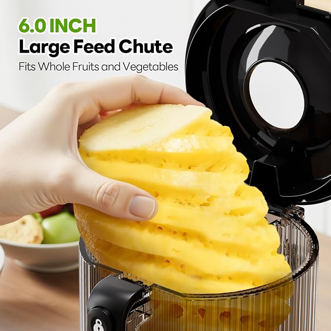 ECOSELF Juicer Machines with 3 Filters (For Juice/Sorbet/Nut Milk), With 6.0" Wide Mouth Hopper for Vegetables & Fruits, Slow Masticating Juicer Self Feeding, Juicer for Family Party, With Brush