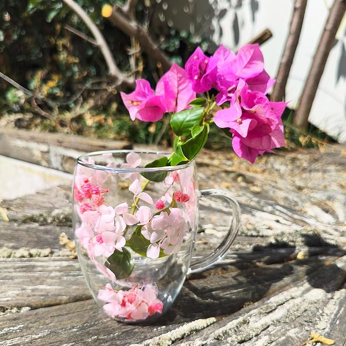 NBHUZEHUA Double Wall Glass Coffee Mugs Insulated Clear Espresso Cups for Cappuccino Tea Latte Hot Beverages Glasses