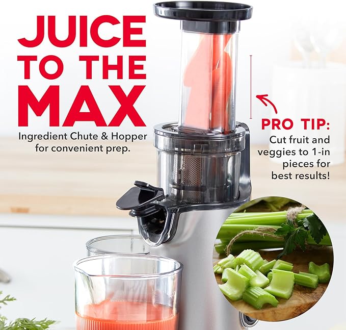 DASH Deluxe Compact Masticating Slow Juicer, Easy to Clean Cold Press Juicer with Brush, Pulp Measuring Cup, Frozen Attachment and Juice Recipe Guide - Graphite