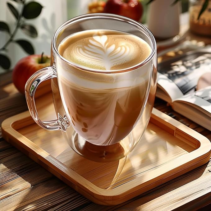 YMMIND Set of 2 Double Walled Glass Coffee Mugs 16 Ounces Insulated Layer Coffee Cups with Handle Borosilicate Glass Espresso Cup for Hot Beverage,Cappuccino,Tea,Latte,Wine,Microwave Safe