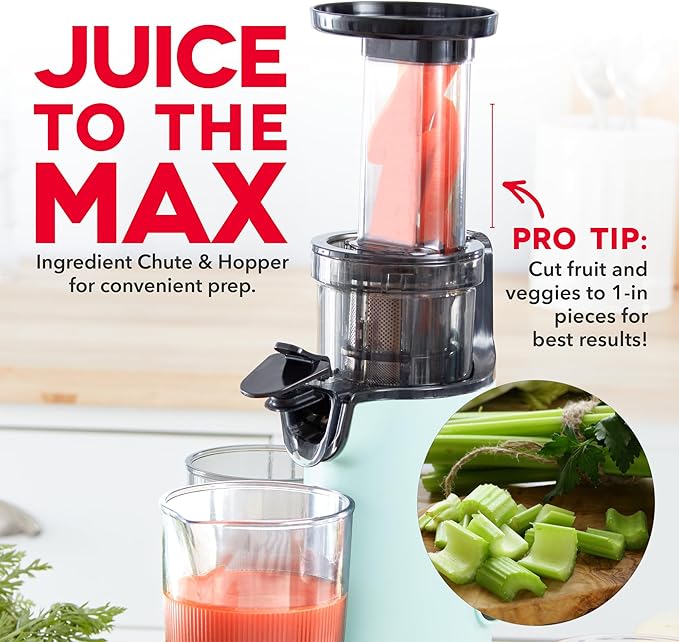 DASH Deluxe Compact Masticating Slow Juicer, Easy to Clean Cold Press Juicer with Brush, Pulp Measuring Cup, Frozen Attachment and Juice Recipe Guide - Aqua