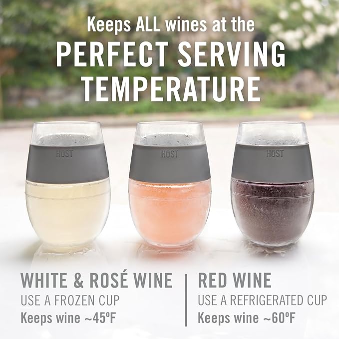 Host Wine Freeze Cup Set of 2 - Plastic Double Wall Insulated Wine Glasses with Freezing Gel, Wine Glass for Red and White Wine, 8.5 oz Mint